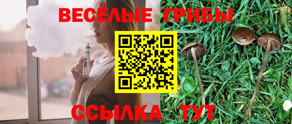 Тулун  Псилоцибиновые грибы MAGIC MUSHROOMS  Вход с VPN  Галлюциногенные грибы Magic Shrooms 